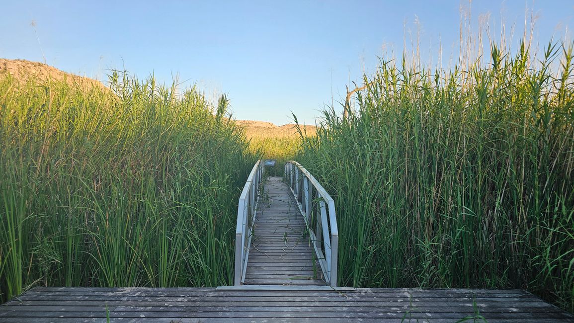 Sentiero della Natura (Escursione Serale)