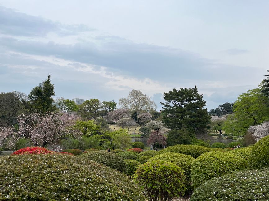 Shinjuku Gyoen Park
