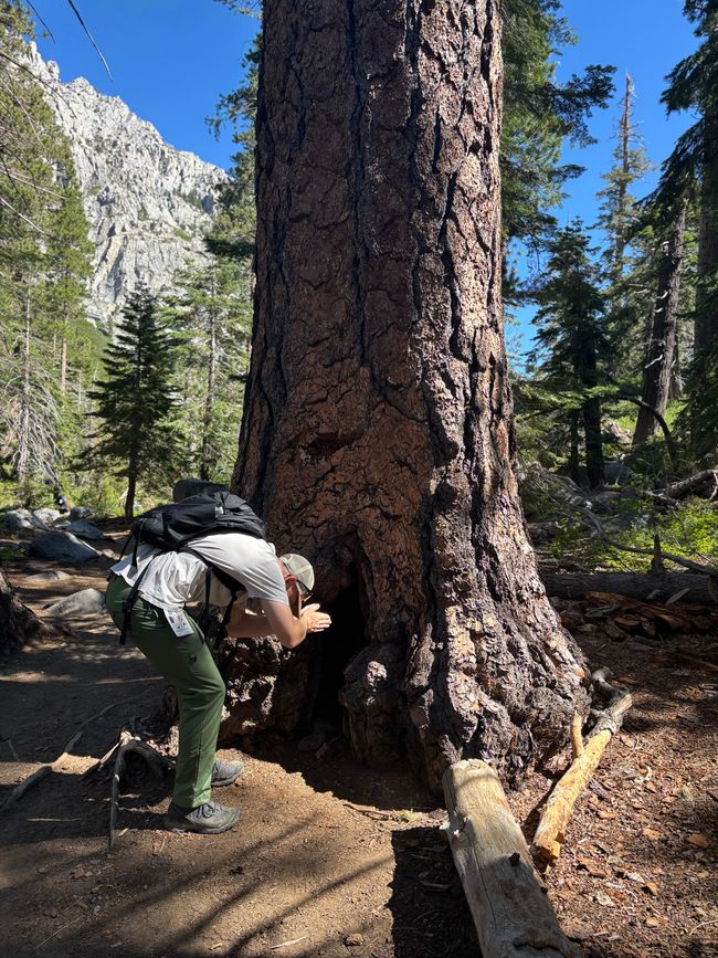 Tag 6 - Letzter Tag am Lake Tahoe