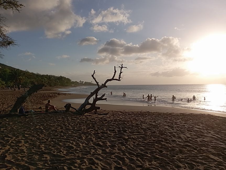 Erfrischung im Dschungel und an einem der schönsten Strände von Guadeloupe