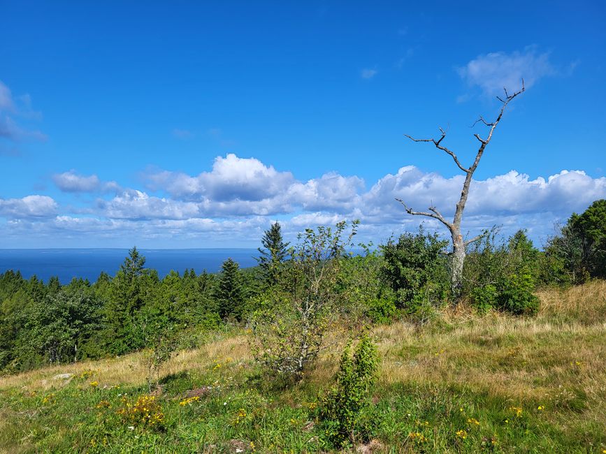 Ausblick Wanderung Omberg