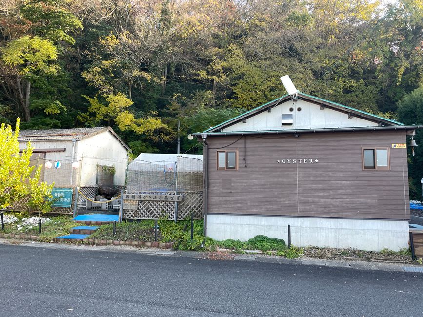 So sieht ein Austern-Restaurant hier aus❤️