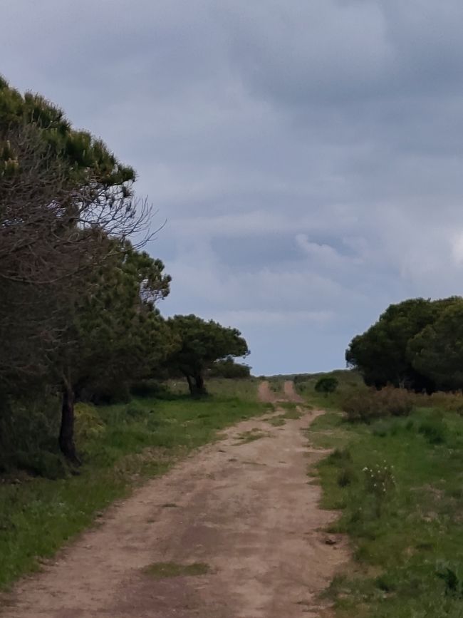 Vila do Bispo -> Carrapateira