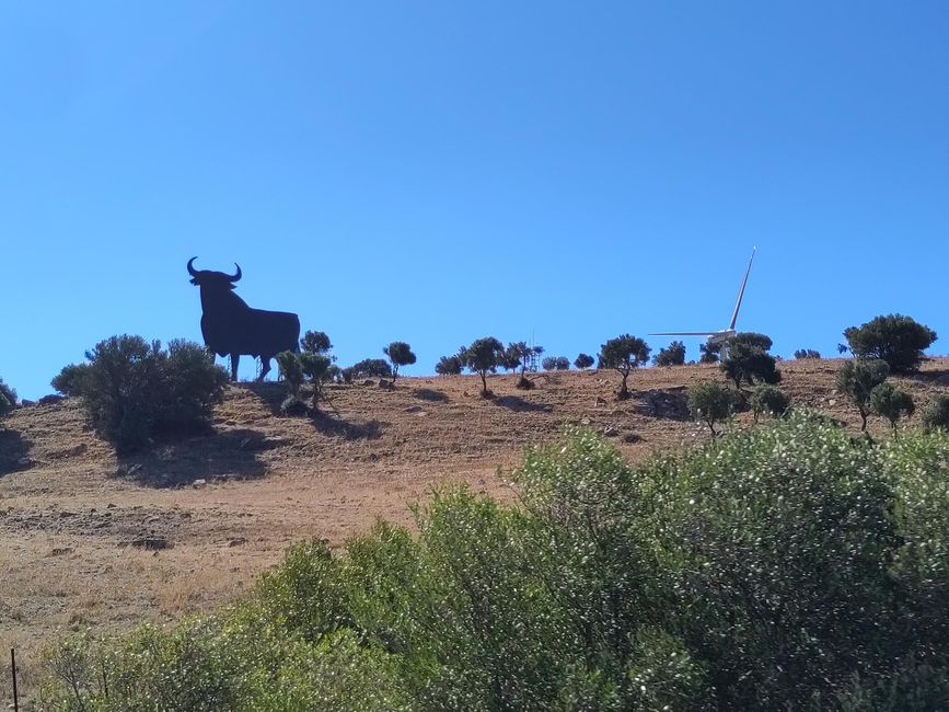 Tarifa