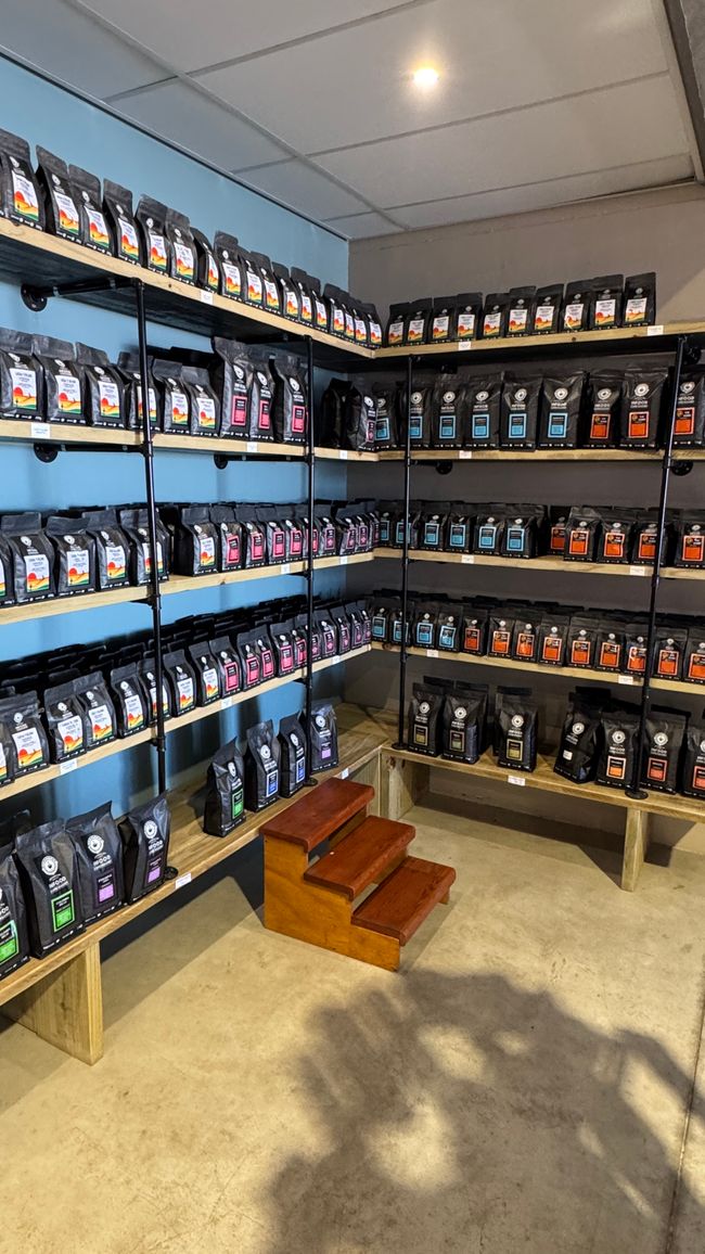 Infood Coffee Roastery