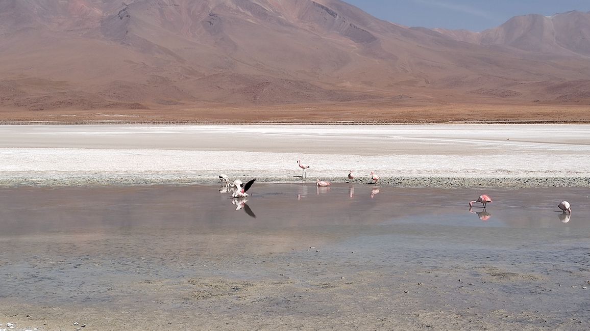 Bolivia, Tour de Lagunas