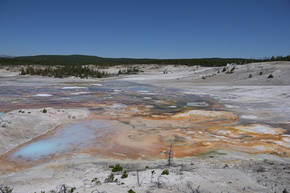 Norris Geyser Basin