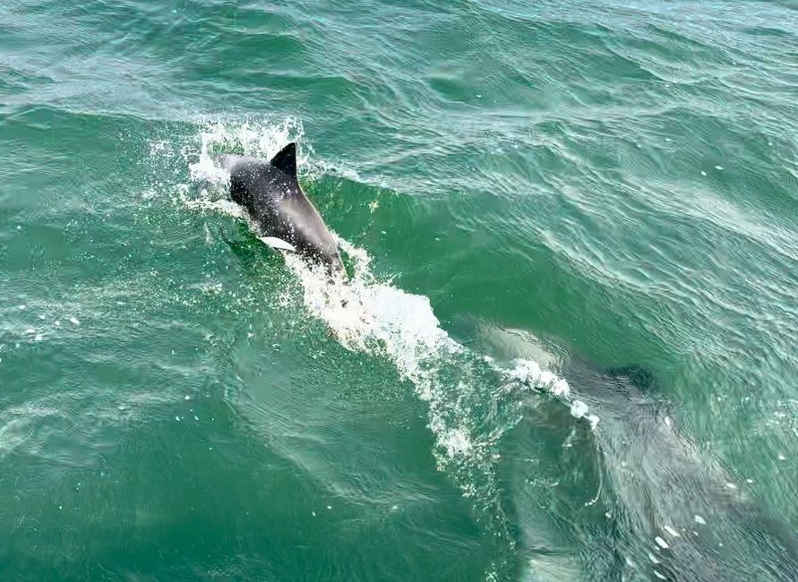 Swakopmund - on land and water