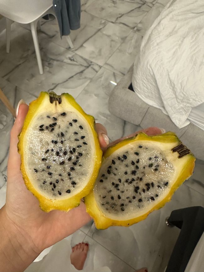 Medellín- die Stadt, in der alles erblüht?