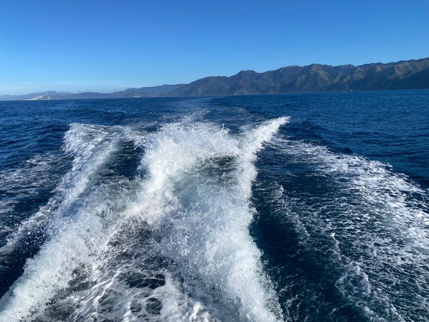 Nelson, Queen Charlotte drive, Picton, Kaikoura, Blenheim