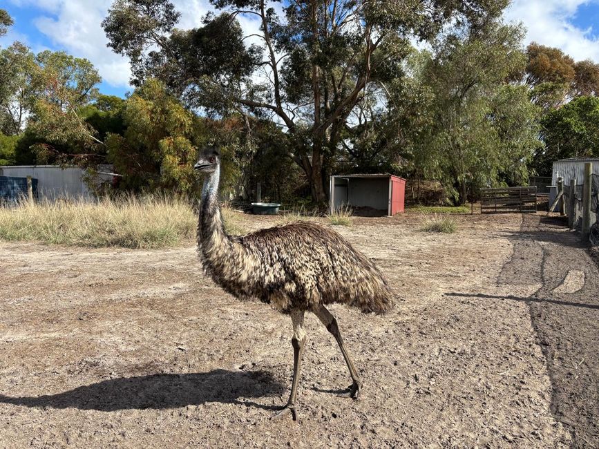 Parc des oiseaux et des animaux d'Esperance