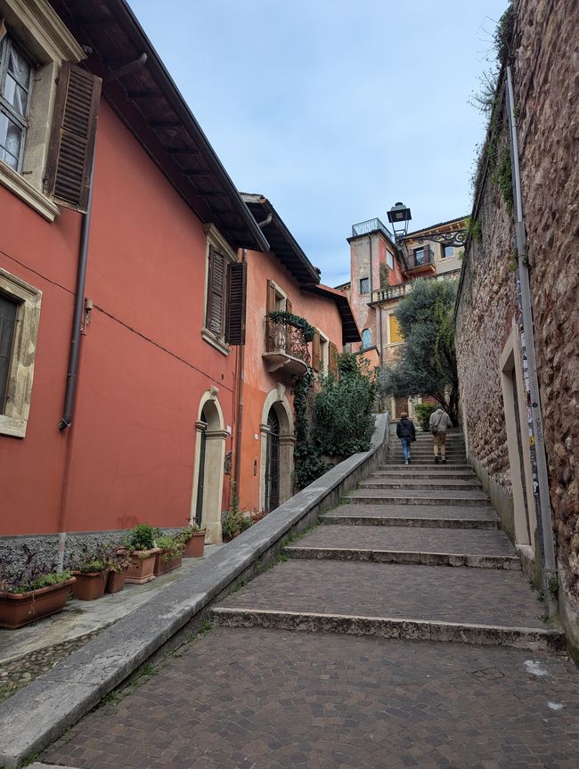 Verona 