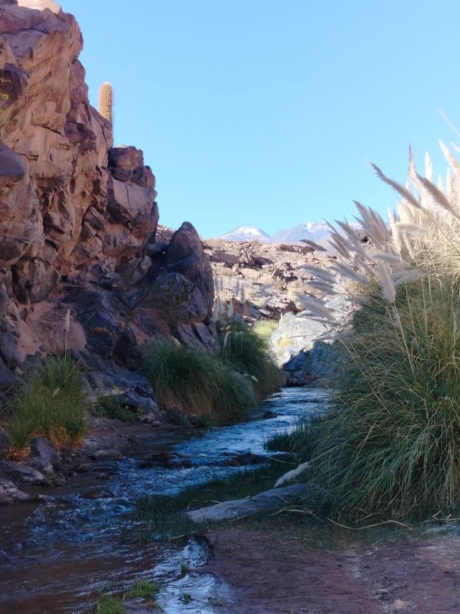 San Pedro de Atacama (Parte 2)