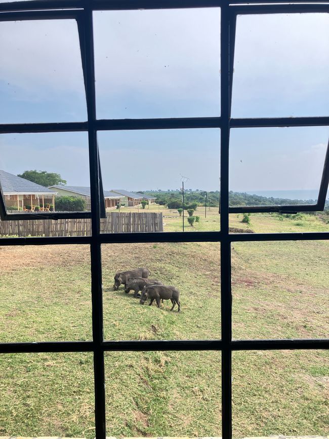 Queen Elizabeth Nationalpark