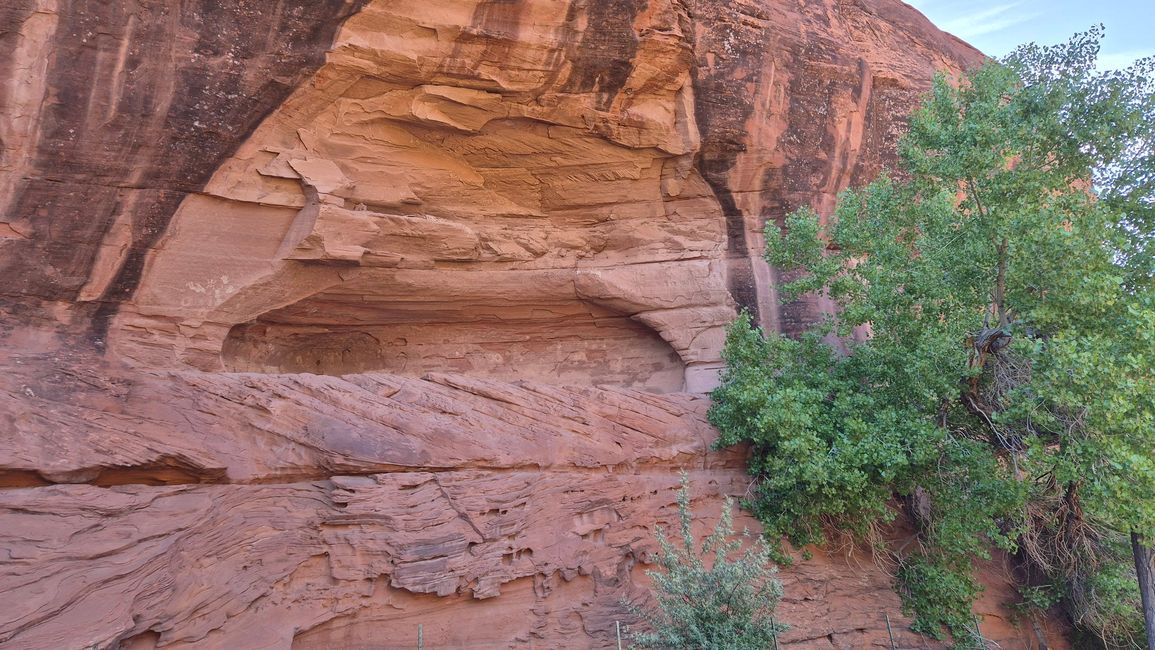 The first rock paintings
