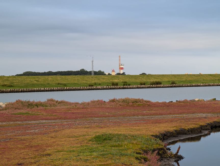 Fehmarn ● Morgenstund hat Gold im Mund