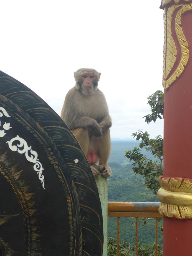 Myanmar