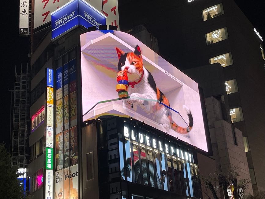 Shinjuku