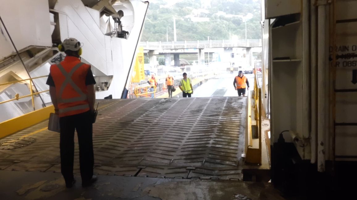 2025-03-25 NZ, l'Isola del Nord, Wellington