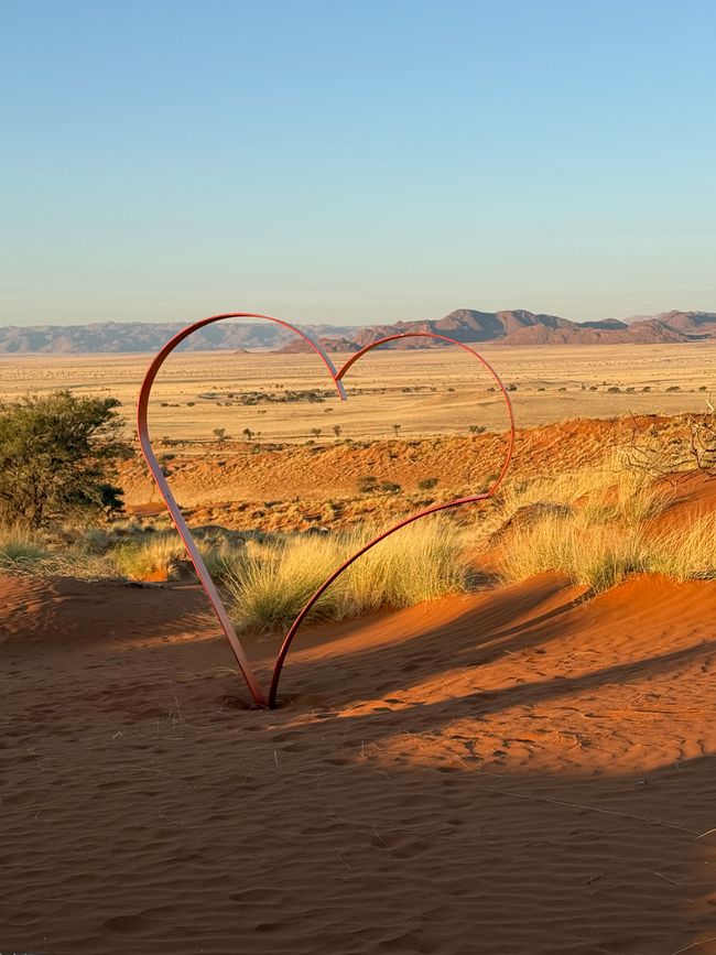 Namibia 2k25 🦓🏜️🐘