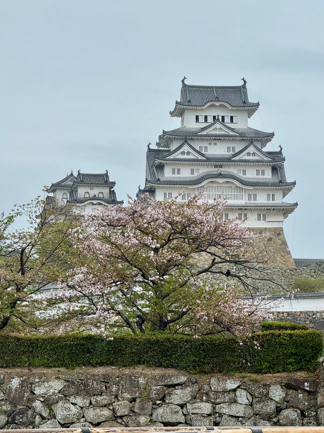 Part 9 Japan 🇯🇵 Osaka