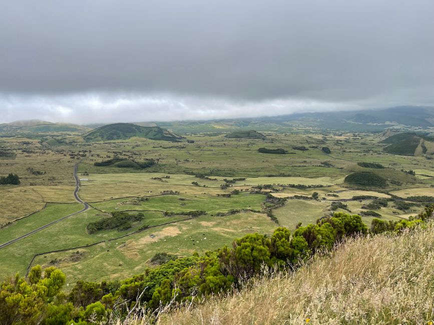 Pico
