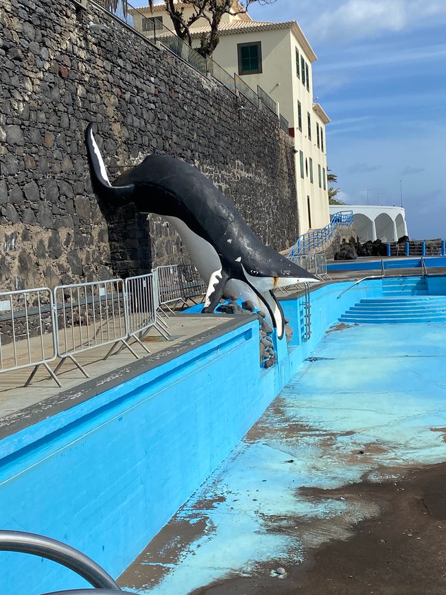 Hier sprudelt im Sommer Wasser ins Kinderbecken