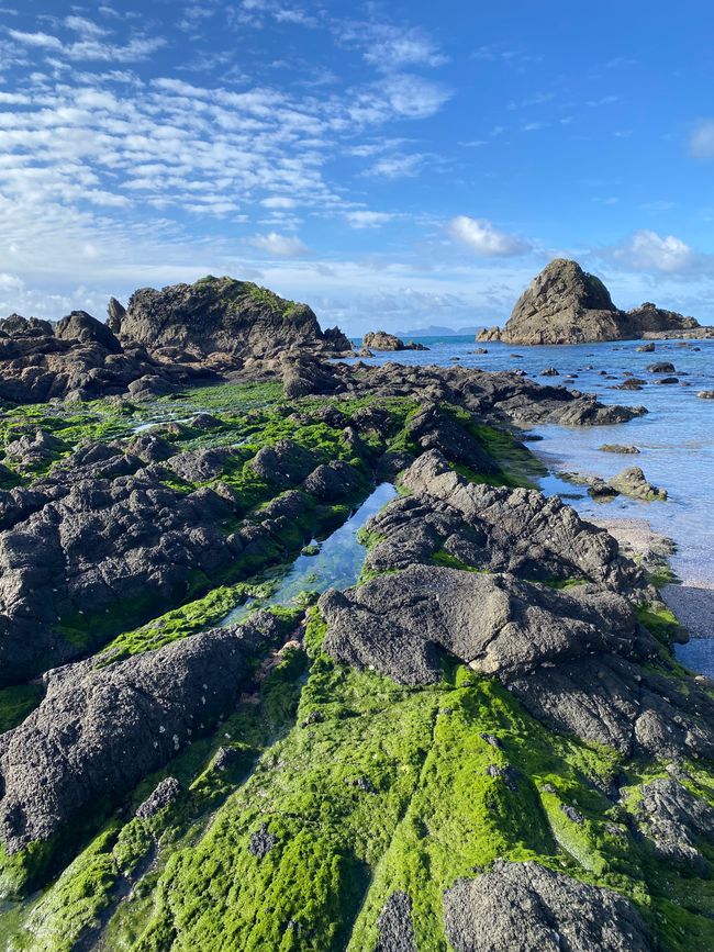 De whangarei à auckland