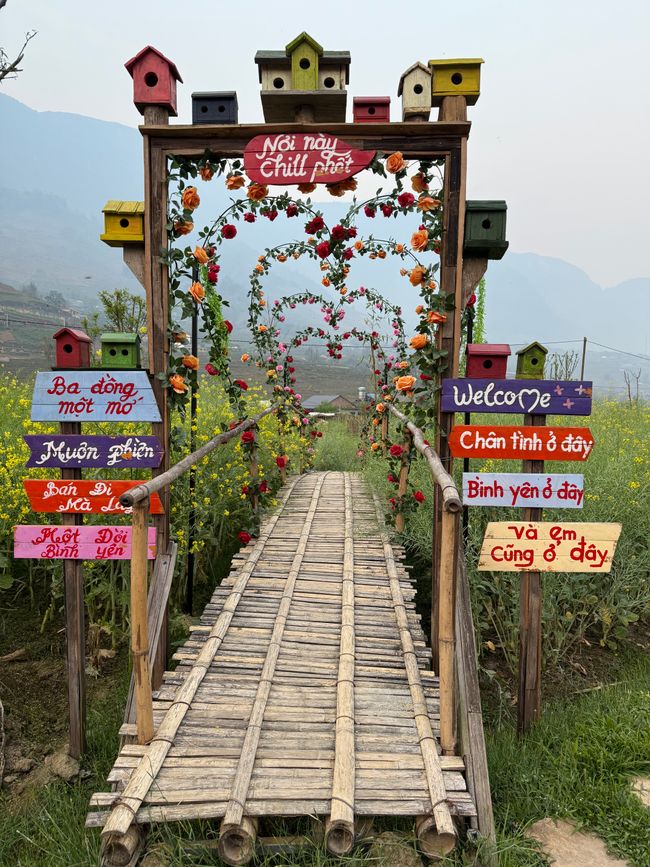 Il giardino dell'homestay