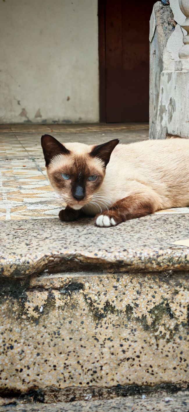 One night in Bangkok.. oder eben drei