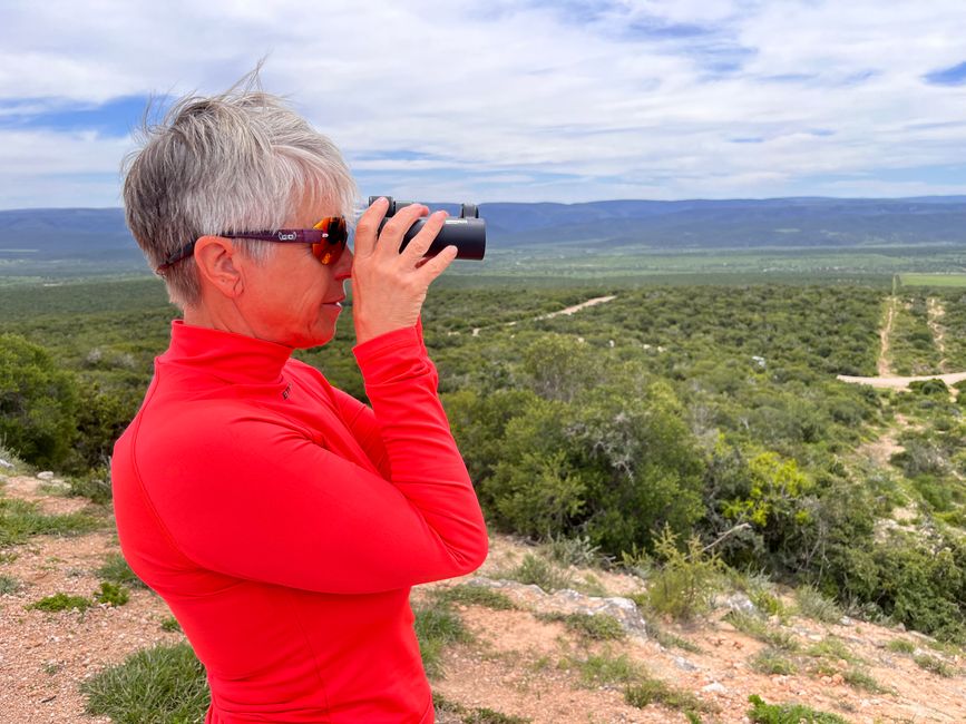 Addo Elephant Park