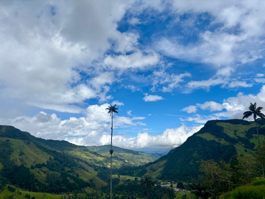 Cocora Valley