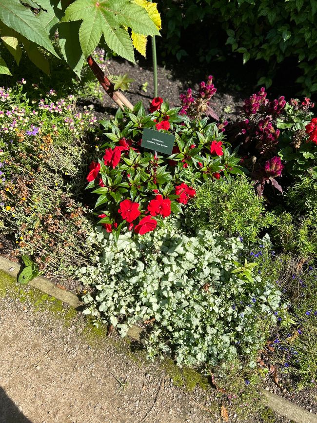 Jetzt was für Blumenfetischisten