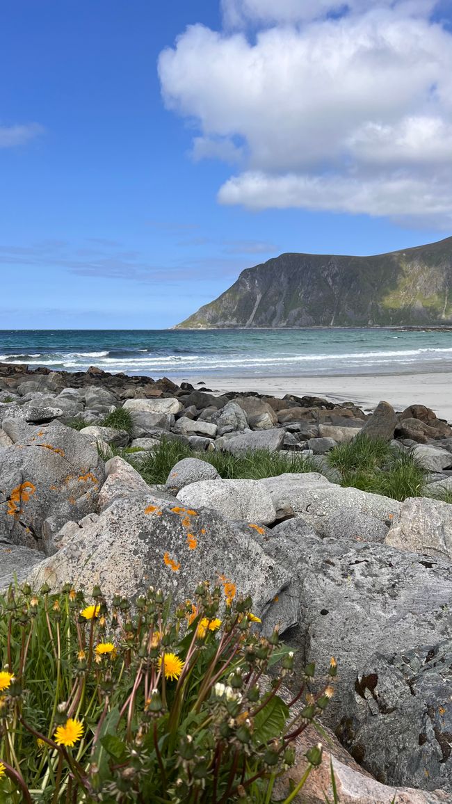LOFOTEN - Che mondo meraviglioso?