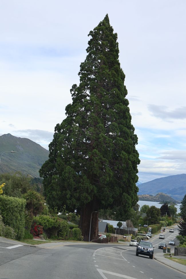 Über Wanaka zurück nach CHC
