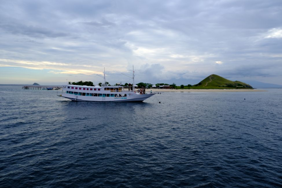 Boat expedition to Flores ⛴️