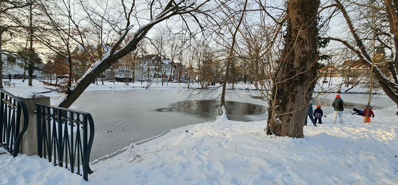 Mal Zuhause in Hildesheim ☺️ Ernst-Ehrlicher-Park am Hohnsensee