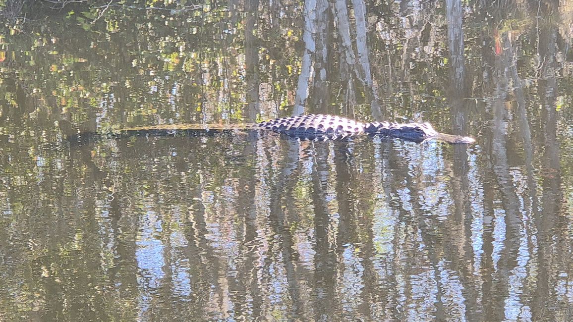 Dag 14: Naar Florida City