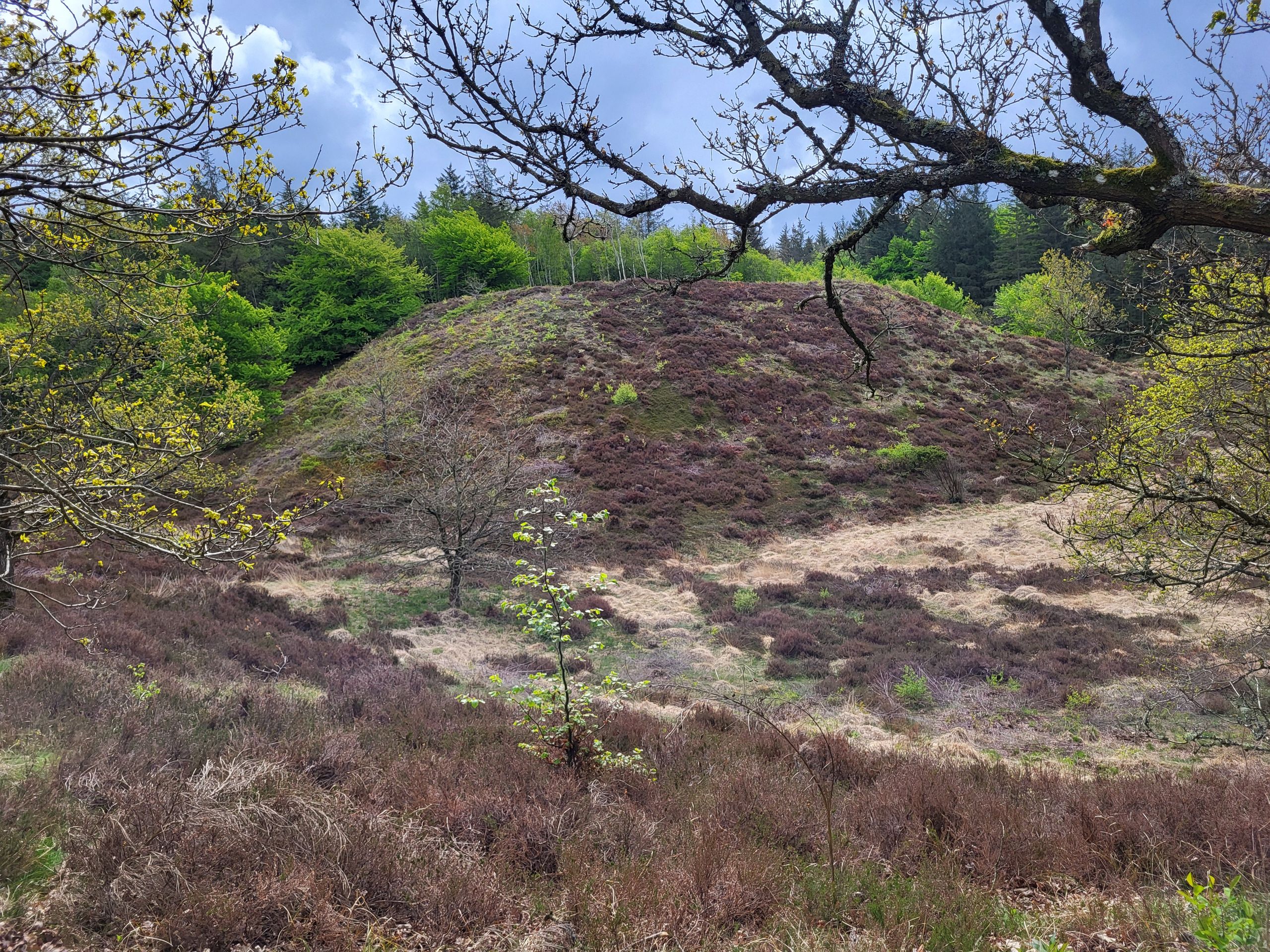 Hike on Mors