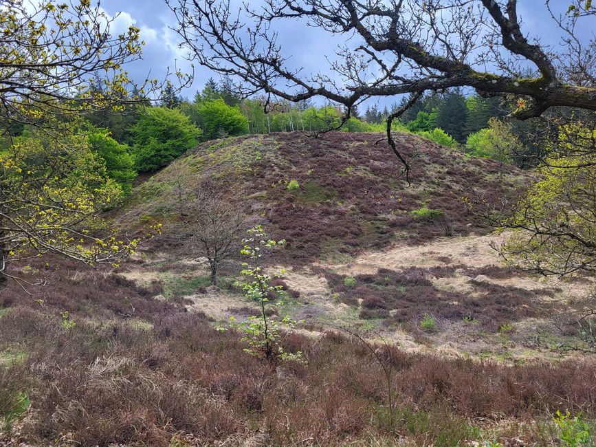 Hike on Mors