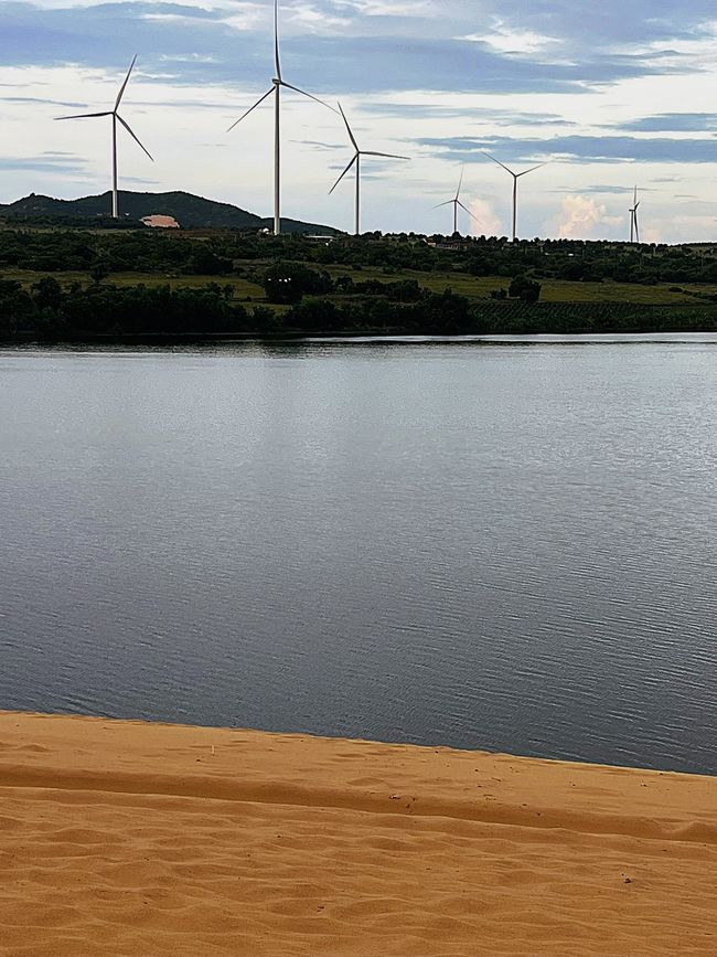 Lotus lake with windmills on the horizon