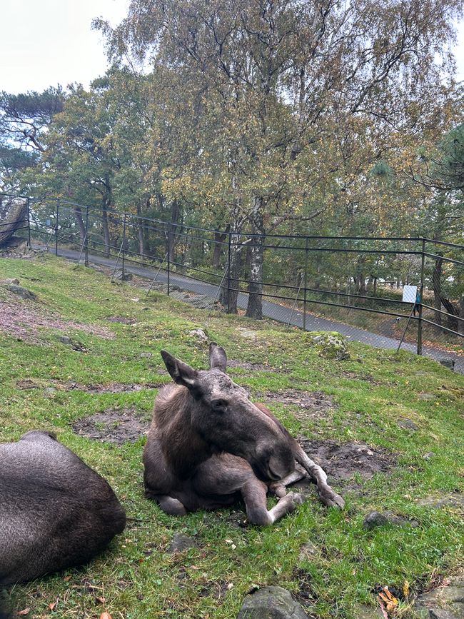 Wochenende in Göteborg