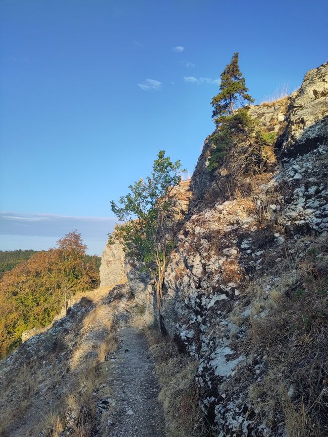 Felsen und Trockenheit