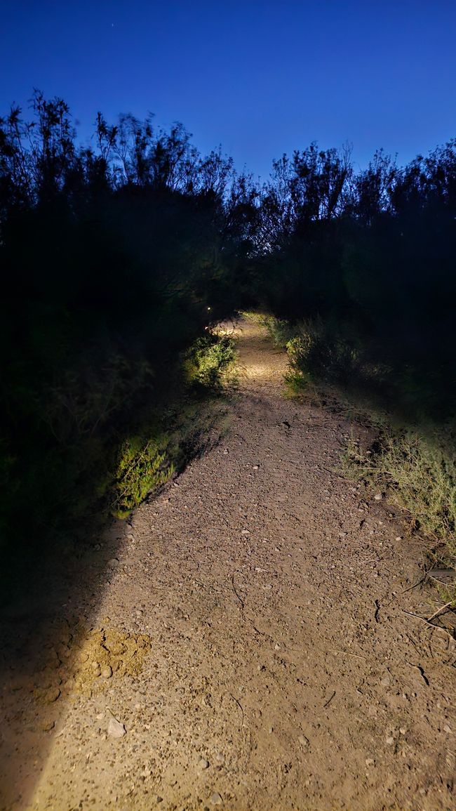 Sentiero della Natura (Escursione Serale)
