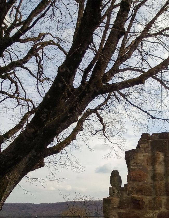 Ostern, oder wie uns Auferstehung persönlich geschenkt wurde