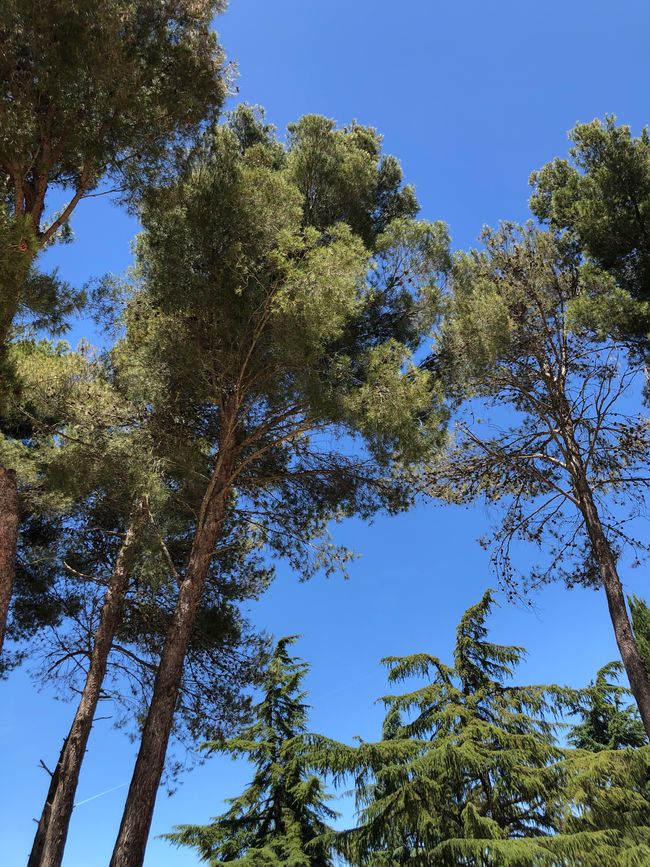 Le Vigne Al Castello Wine Resort