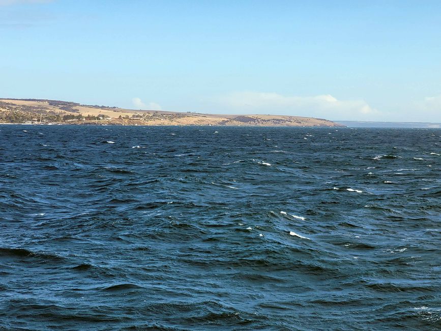 vue sur l'île Kangourou