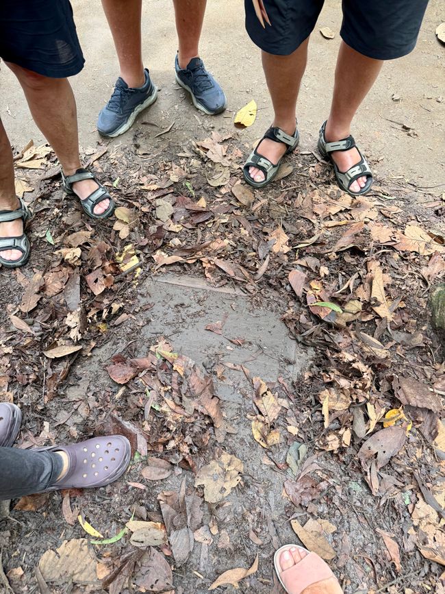 通往隧道的下降通道