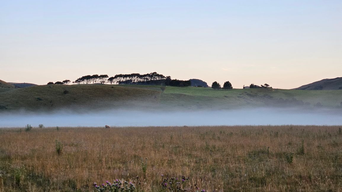 All Day Beach - Timaru - Christchurch - Goodbye New Zealand
