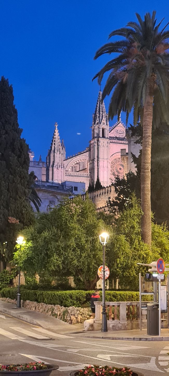Das Finale von Pollenca nach Palma